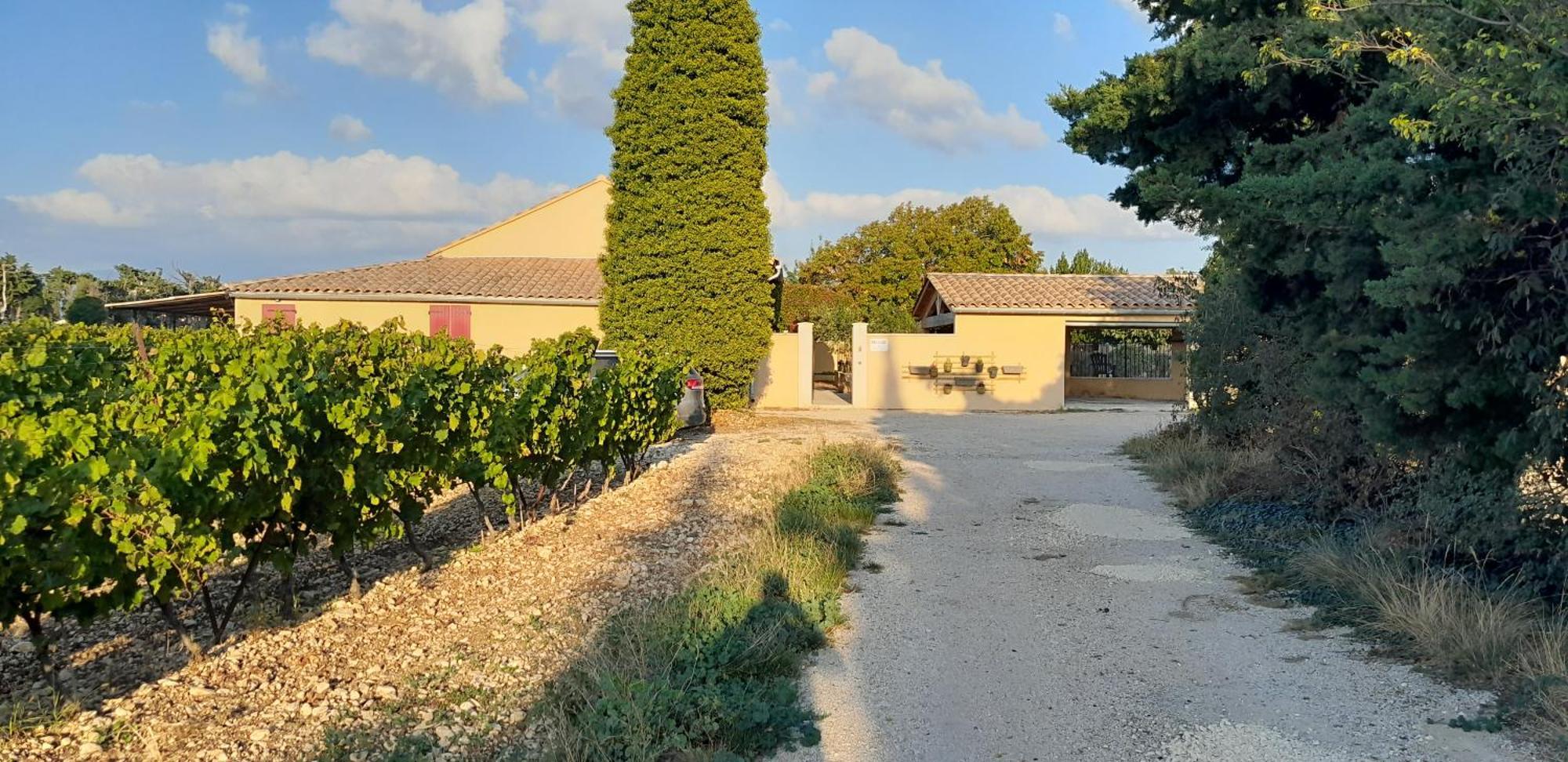 Mas La Gentille ,,, A La Campagne , Beautiful Outdoor , Swimming Pool , Pool House , Nice Green Garden , Bbq ,,, Only For You , Pour Passer Un Sejour Inoubliable Pernes-les-Fontaines Exterior foto